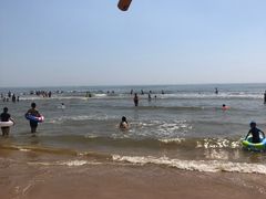 -日照海滨国家森林公园
