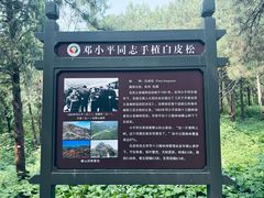 -北京十三陵国家森林公园蟒山景区
