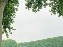 -河南省黄河迎宾馆