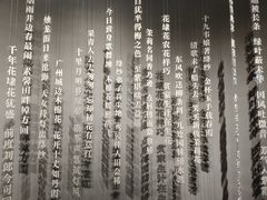 -云溪植物园