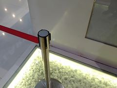 -狐狸和向日葵(北京路店)