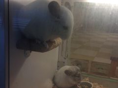 -龙猫仔乐园(惠福东路店)