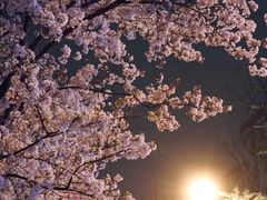 -永乐路-路侧停车场