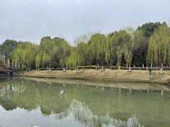 -桐乡植物园