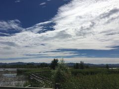 -野鸭湖国家湿地公园