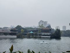 -荔湾湖公园