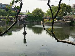 -嘉定紫藤园