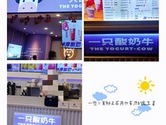-一只酸奶牛(兰州中心店)