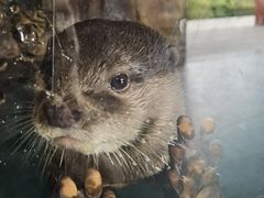 -杭州野生动物世界