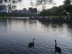 -五缘湾湿地公园