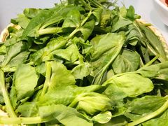 豌豆尖-名善山珍·野生菌汤锅(文殊院店)
