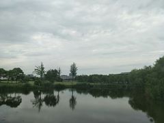 -新江湾城公园