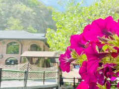 -北京水岸山吧度假村(雁栖镇店)