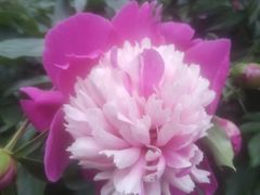 -长春公园(普阳街道)