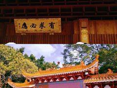 -深圳仙湖植物园