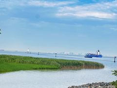 -上海吴淞炮台湾国家湿地公园