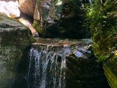 -牛背梁国家森林公园