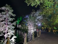 -天目湖山水园