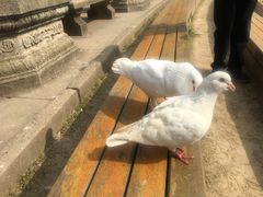 -御苑宾馆-中餐厅