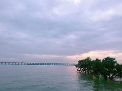 -宝安西湾红树林湿地公园