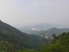 -咖咖熊蛋糕定制·蓝风车动物奶油