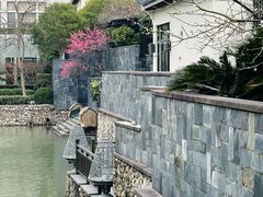 -宁波柏悦酒店·钱湖渔港