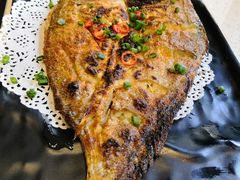 -九府羊·鲜羊火锅·烤串(新华路店)