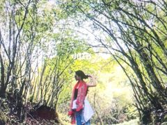 -九寨沟爱情海景区