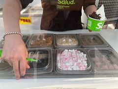 -Salud撒露欧洲冻酸奶(798艺术区店)