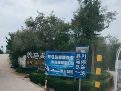 -养马岛旅游度假区