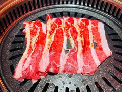 澳洲肥牛肋条-杨记齐齐哈尔烤肉(总店)