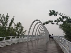 -大兴滨河森林公园