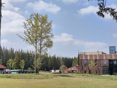 -黄海国家森林公园