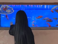 -上海动物园(地铁站)