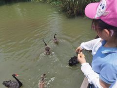 -长兴太湖图影湿地文化园