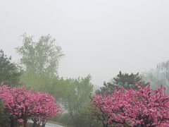-北京植物园-展览温室