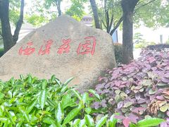 -西溪国家湿地公园