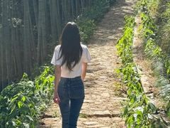 -西安祥峪森林公园