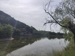 -芦芽山旅游度假区
