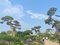 -罗红摄影艺术馆