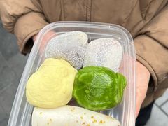 -沈大成(南京东路店)