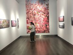 -南京书画院金陵美术馆