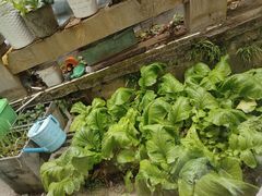 -小丫头餐厅·江浙菜·烧烤(灵隐店)