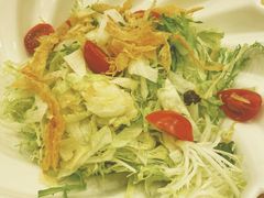 蔬菜色拉-梅龙镇酒家(南京西路总店)