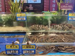 水产区-船歌·鱼水饺青岛菜(闽江二路店)