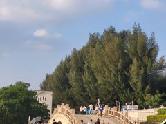 -宝安西湾红树林湿地公园