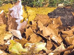 -白塘生态植物园