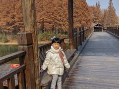 -溱湖国家湿地公园