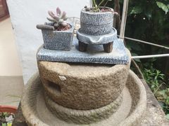 -美味之家·湖景农家乐(太湖东山店)