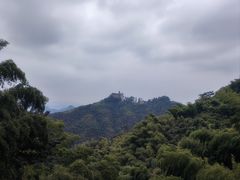 -莫干山风景区